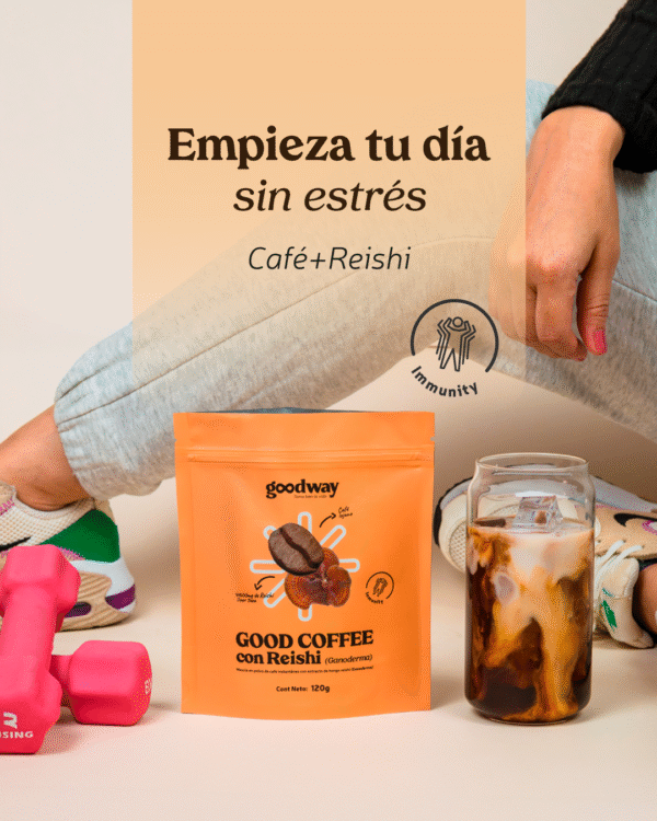 Combo Focus & Balance - Imagen 2